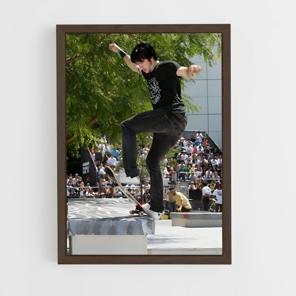 Poster Trickster au Skatepark – affiche Skateboard (vue 5)